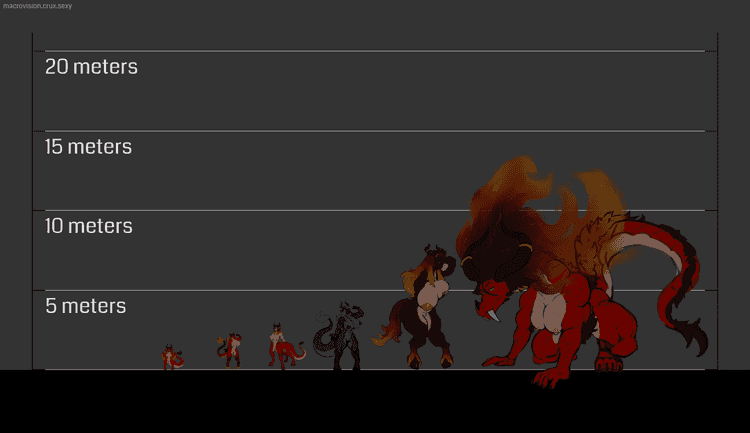 adelonda forms size chart