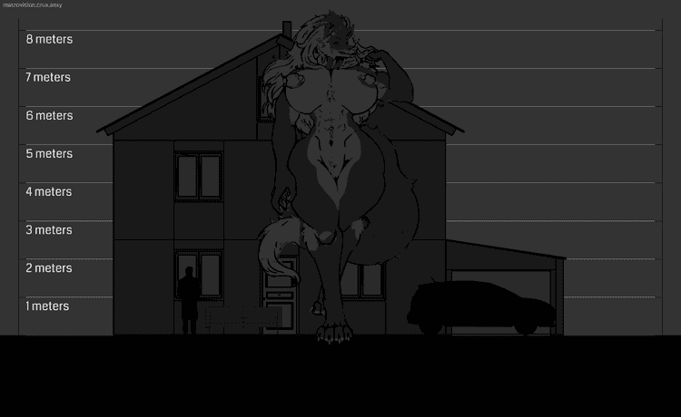 cintia macrovision scale upgraded