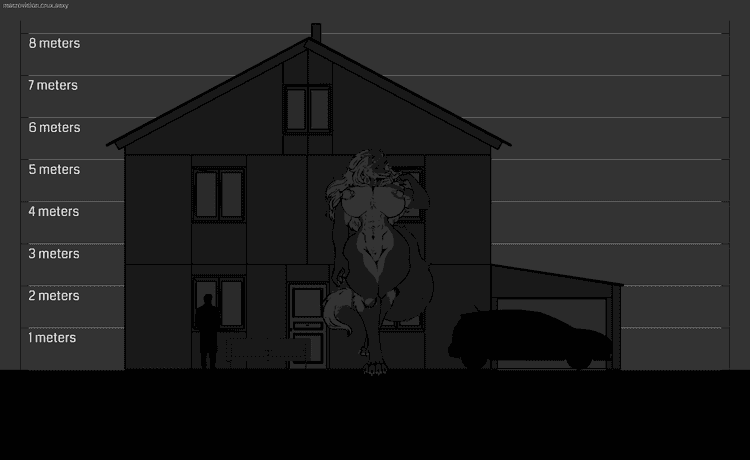 cintia macrovision scale